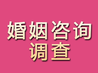 习水婚姻咨询调查