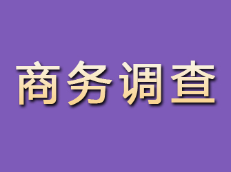 习水商务调查